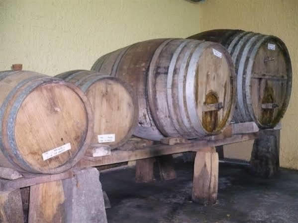 Alavera San Martin del Mar